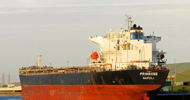 PRIMROSE Bulk Carrier IMO 9248899 photo 10
