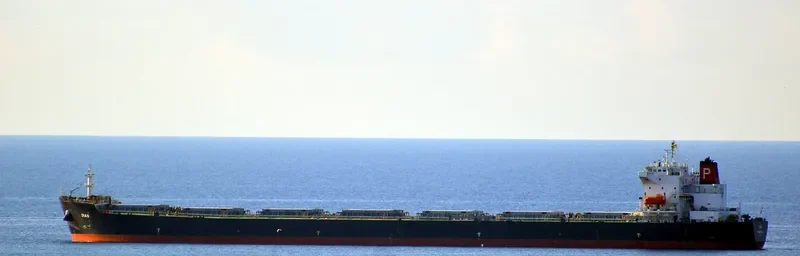 DIAS Bulk Carrier IMO 9248904