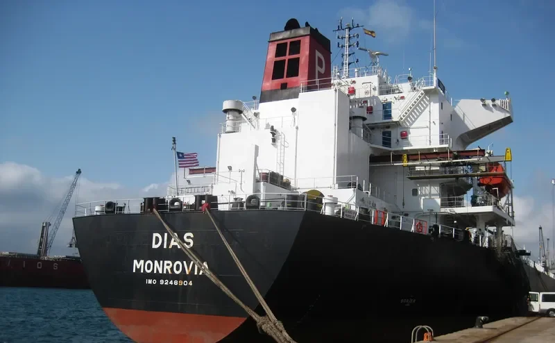 DIAS Bulk Carrier IMO 9248904 photo 2