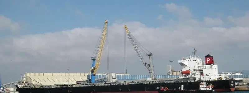 DIAS Bulk Carrier IMO 9248904 photo 3
