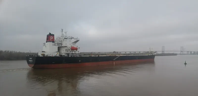 DIAS Bulk Carrier IMO 9248904 photo 4