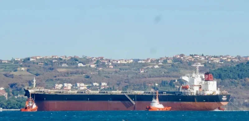 DIAS Bulk Carrier IMO 9248904 photo 6