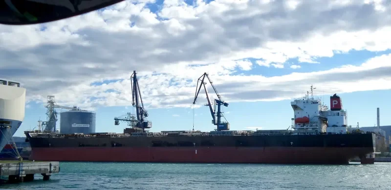 DIAS Bulk Carrier IMO 9248904 photo 7