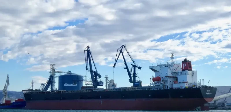 DIAS Bulk Carrier IMO 9248904 photo 8