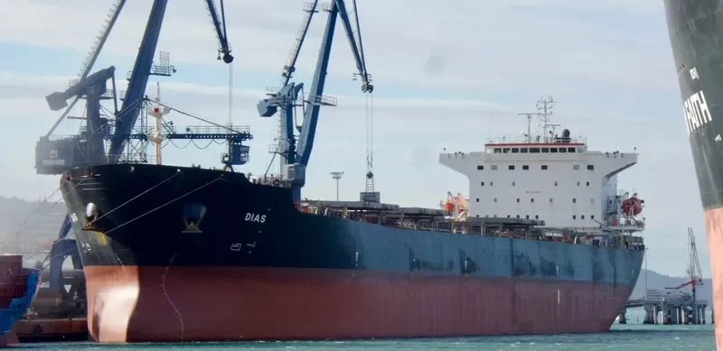 DIAS Bulk Carrier IMO 9248904 photo 9