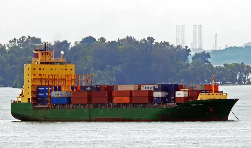 DANUM 175 Container Ship IMO 9248930 photo 8