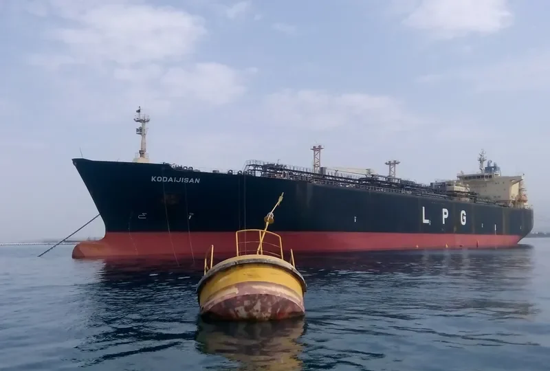 KODAIJISAN General Cargo IMO 9249049 photo 2