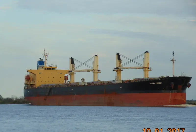 ZHE NENG 2 Bulk Carrier IMO 9249257 photo 3
