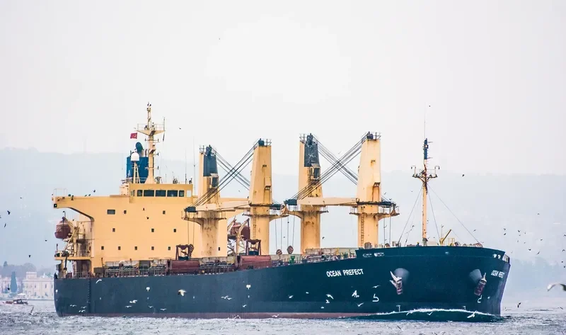 ZHE NENG 2 Bulk Carrier IMO 9249257 photo 5