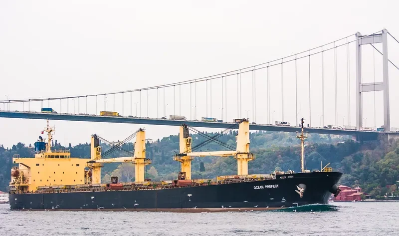ZHE NENG 2 Bulk Carrier IMO 9249257 photo 6