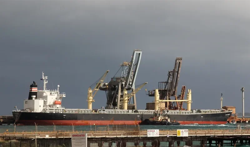GOOD LUCK I Bulk Carrier IMO 9249269 photo 2