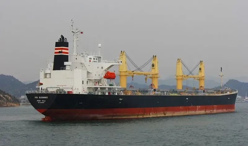 GOOD LUCK I Bulk Carrier IMO 9249269 photo 3