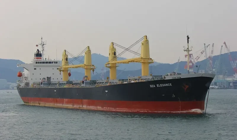 GOOD LUCK I Bulk Carrier IMO 9249269 photo 4