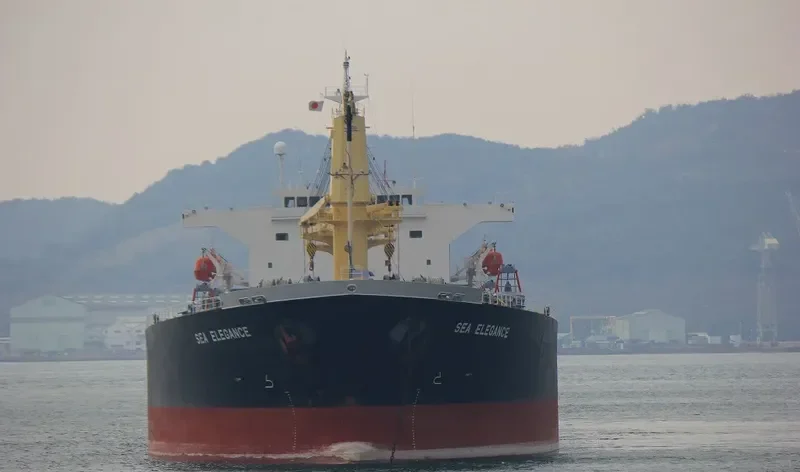 GOOD LUCK I Bulk Carrier IMO 9249269 photo 5