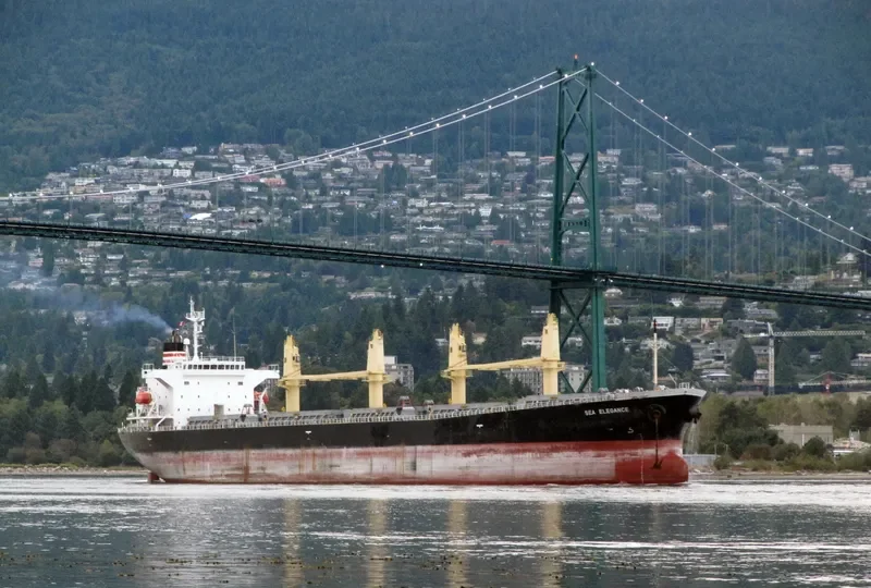 GOOD LUCK I Bulk Carrier IMO 9249269 photo 6
