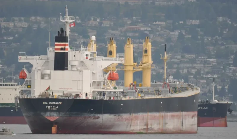 GOOD LUCK I Bulk Carrier IMO 9249269 photo 7