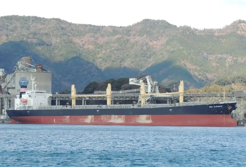 GOOD LUCK I Bulk Carrier IMO 9249269 photo 8