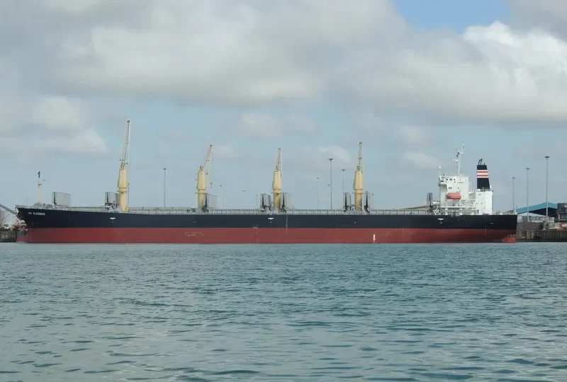 GOOD LUCK I Bulk Carrier IMO 9249269 photo 9