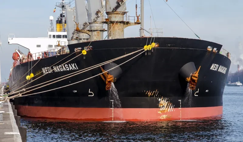 NOTA A Bulk Carrier IMO 9249271 photo 2