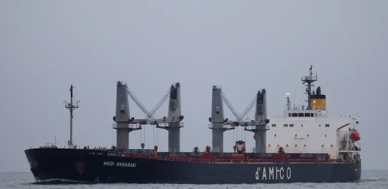 NOTA A Bulk Carrier IMO 9249271 photo 6