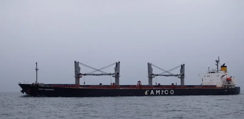 NOTA A Bulk Carrier IMO 9249271 photo 7
