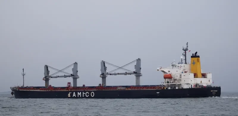 NOTA A Bulk Carrier IMO 9249271 photo 8