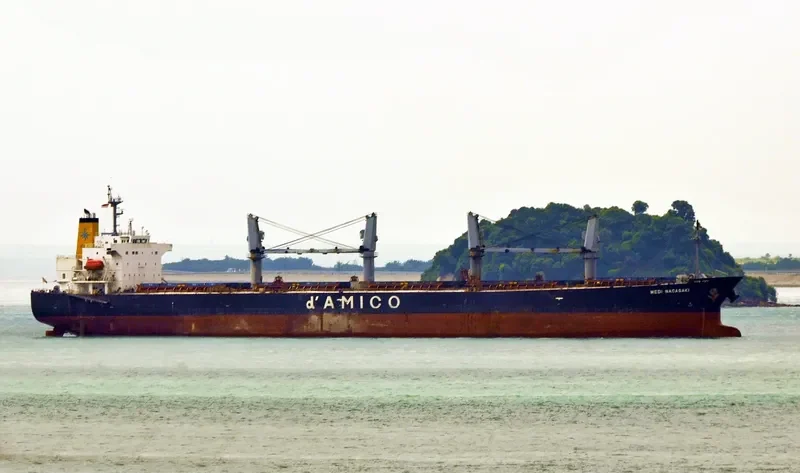 NOTA A Bulk Carrier IMO 9249271 photo 10