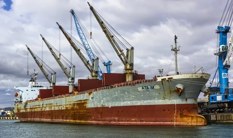 RUI FU SHENG Bulk Carrier IMO 9249283 photo 3