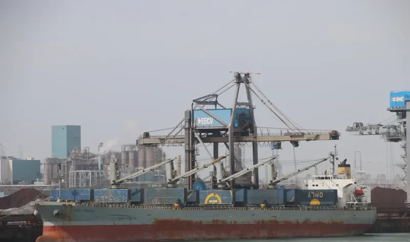 RUI FU SHENG Bulk Carrier IMO 9249283 photo 6