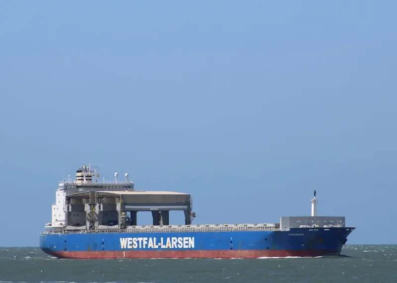 OSHIMANA Container Ship IMO 9249295 photo 4