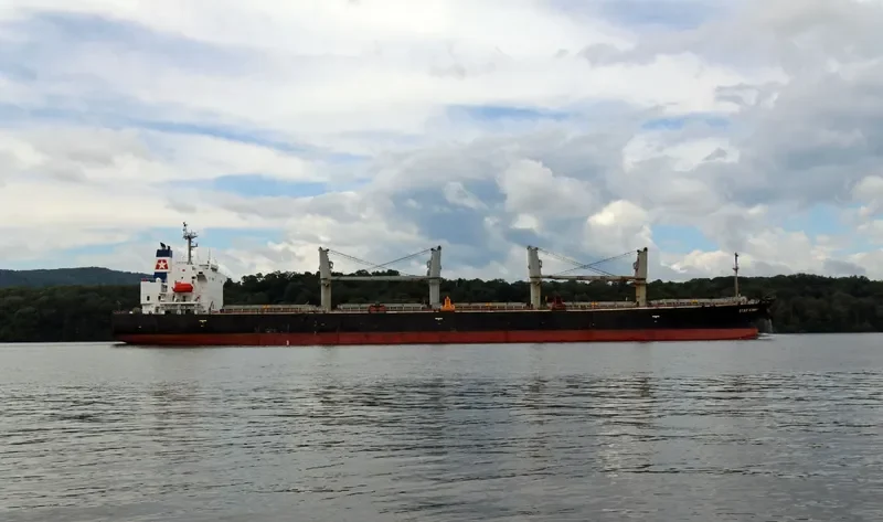 EMILIA Bulk Carrier IMO 9249300 photo 2