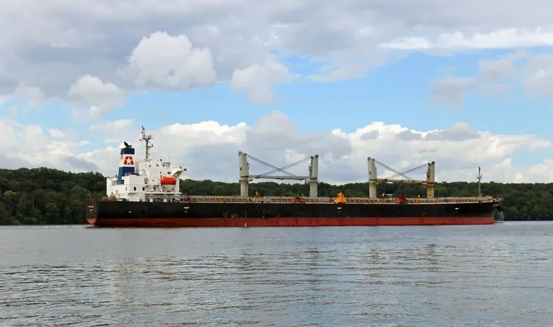 EMILIA Bulk Carrier IMO 9249300 photo 3