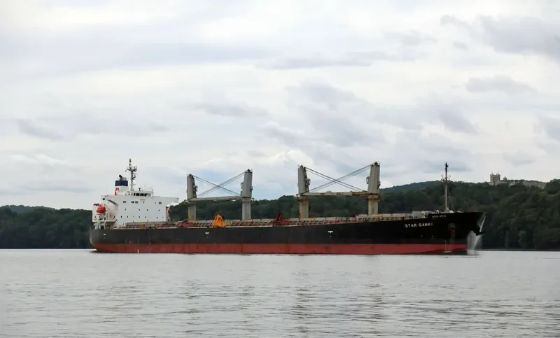 EMILIA Bulk Carrier IMO 9249300 photo 4