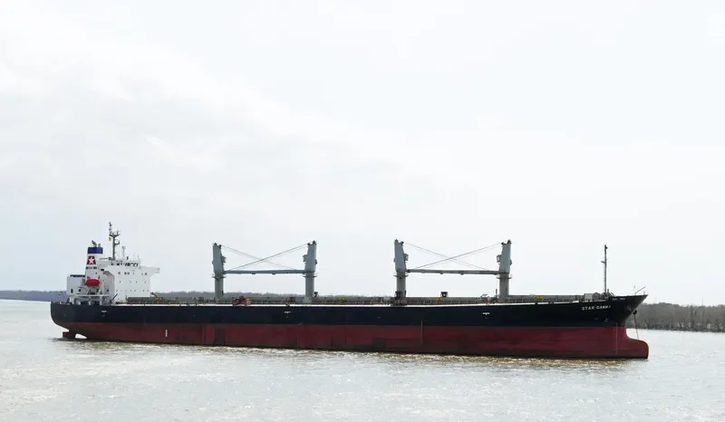 EMILIA Bulk Carrier IMO 9249300 photo 5