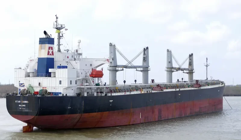 EMILIA Bulk Carrier IMO 9249300 photo 6