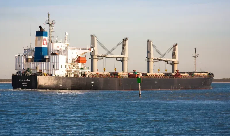 EMILIA Bulk Carrier IMO 9249300 photo 8