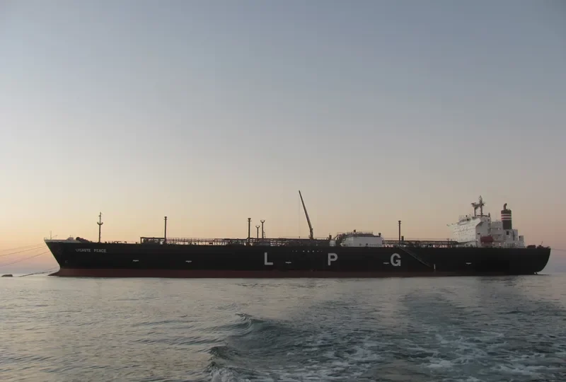 LYCASTE PEACE General Cargo IMO 9249336 photo 8