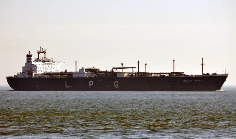 LYCASTE PEACE General Cargo IMO 9249336 photo 10