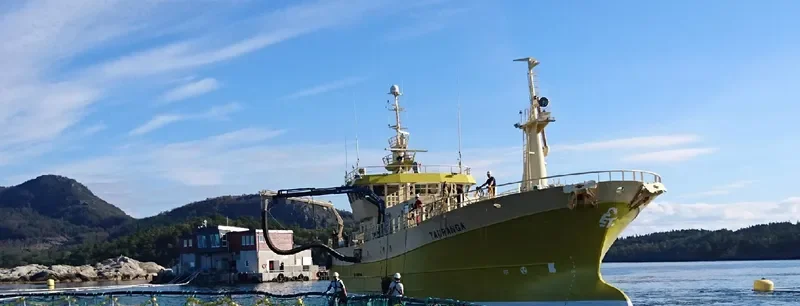 TAURANGA General Cargo IMO 9249714 photo 2