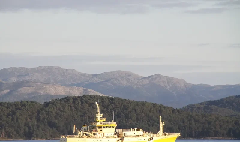 TAURANGA General Cargo IMO 9249714 photo 9
