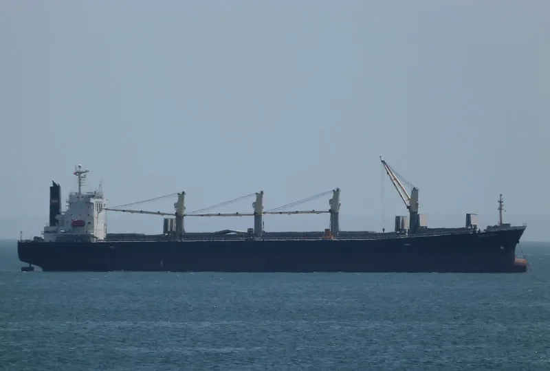 XIN HAI MING ZHU Bulk Carrier IMO 9249908