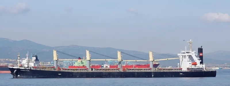 XIN HAI MING ZHU Bulk Carrier IMO 9249908 photo 4