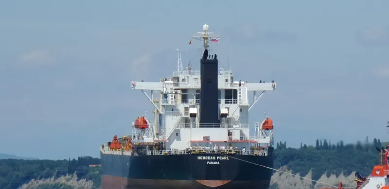 XIN HAI MING ZHU Bulk Carrier IMO 9249908 photo 7