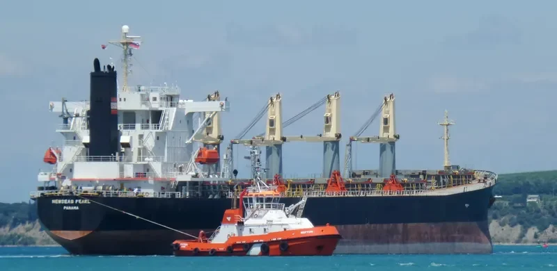 XIN HAI MING ZHU Bulk Carrier IMO 9249908 photo 8