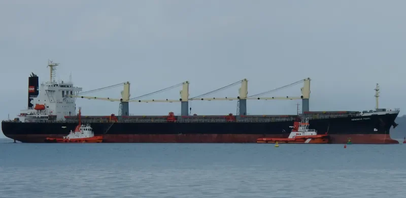 XIN HAI MING ZHU Bulk Carrier IMO 9249908 photo 10