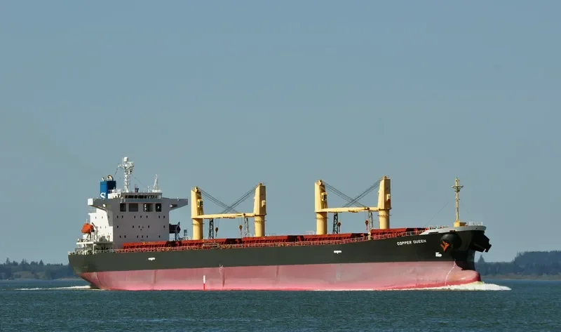 XIE HAI YONG NING Bulk Carrier IMO 9249910 photo 4