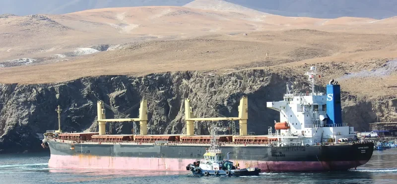 XIE HAI YONG NING Bulk Carrier IMO 9249910 photo 5