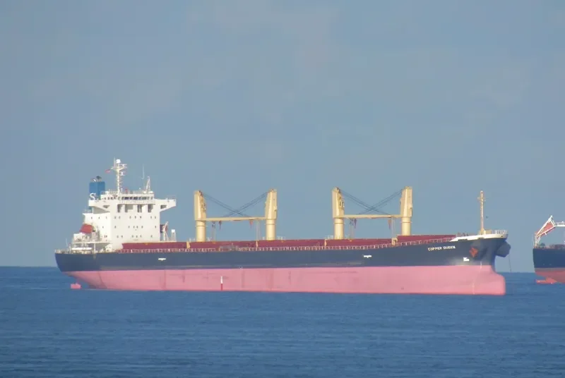 XIE HAI YONG NING Bulk Carrier IMO 9249910 photo 7