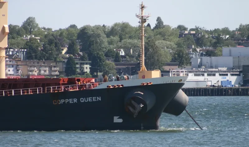 XIE HAI YONG NING Bulk Carrier IMO 9249910 photo 8
