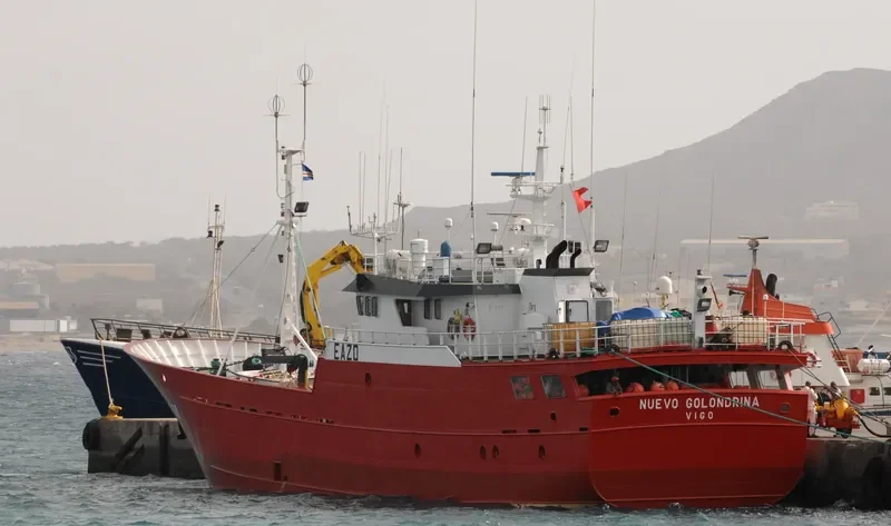 NUEVO GOLONDRINA General Cargo IMO 9249934 photo 2
